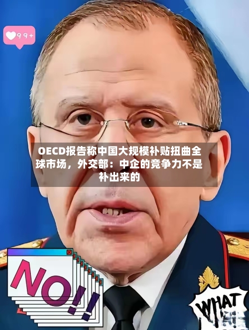 OECD报告称中国大规模补贴扭曲全球市场，外交部：中企的竞争力不是补出来的-第3张图片