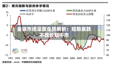 金银市场深度走势解析：短期暴跌不改长期牛市-第2张图片
