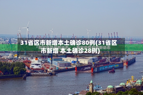 31省区市新增本土确诊80例(31省区市新增 本土确诊28例)