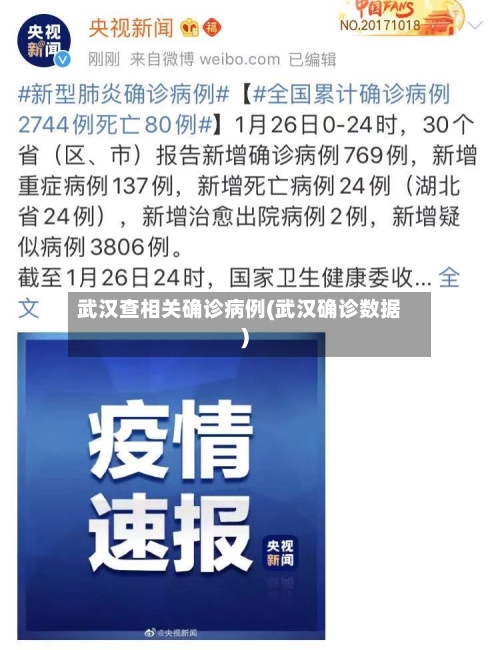 武汉查相关确诊病例(武汉确诊数据)
