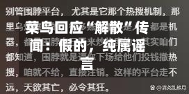菜鸟回应“解散”传闻：假的，纯属谣言