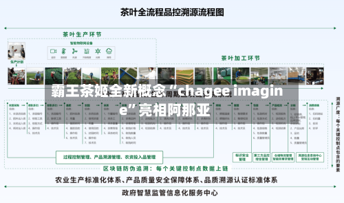 霸王茶姬全新概念“chagee imagine”亮相阿那亚-第3张图片